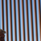 Illustration for article titled Trump Administration Argues the Border Wall Is Good for the Environment, Actually